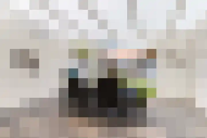 Vlierstraat 16 Wezep thumbnail 33
