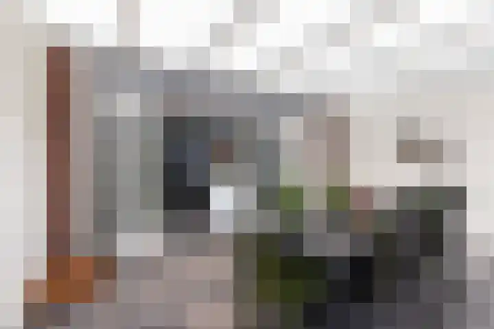 Vlierstraat 16 Wezep thumbnail 37