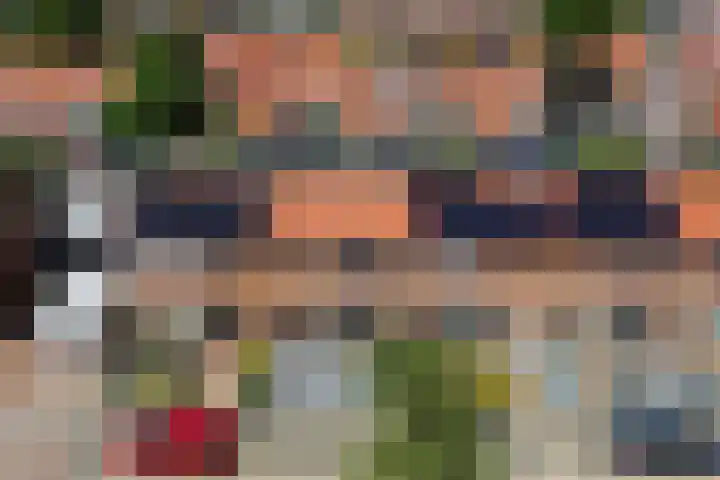 Vlierstraat 16 Wezep thumbnail 39