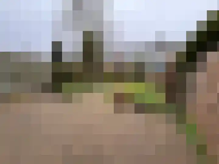 Vlierstraat 17 Schagen thumbnail 15