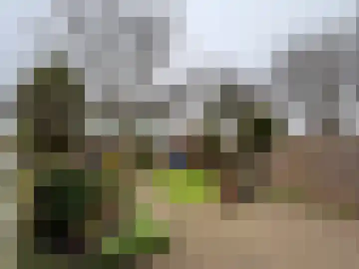 Vlierstraat 17 Schagen thumbnail 17