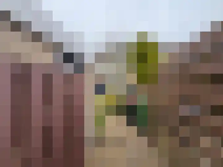 Vlierstraat 17 Schagen thumbnail 27