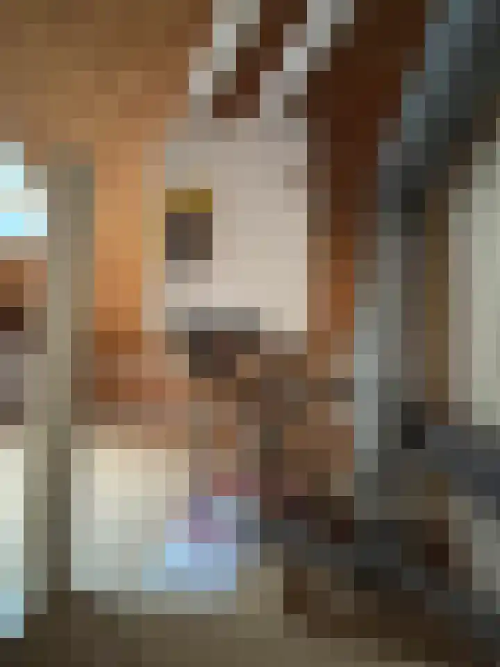 Vlierstraat 17 Schagen thumbnail 39