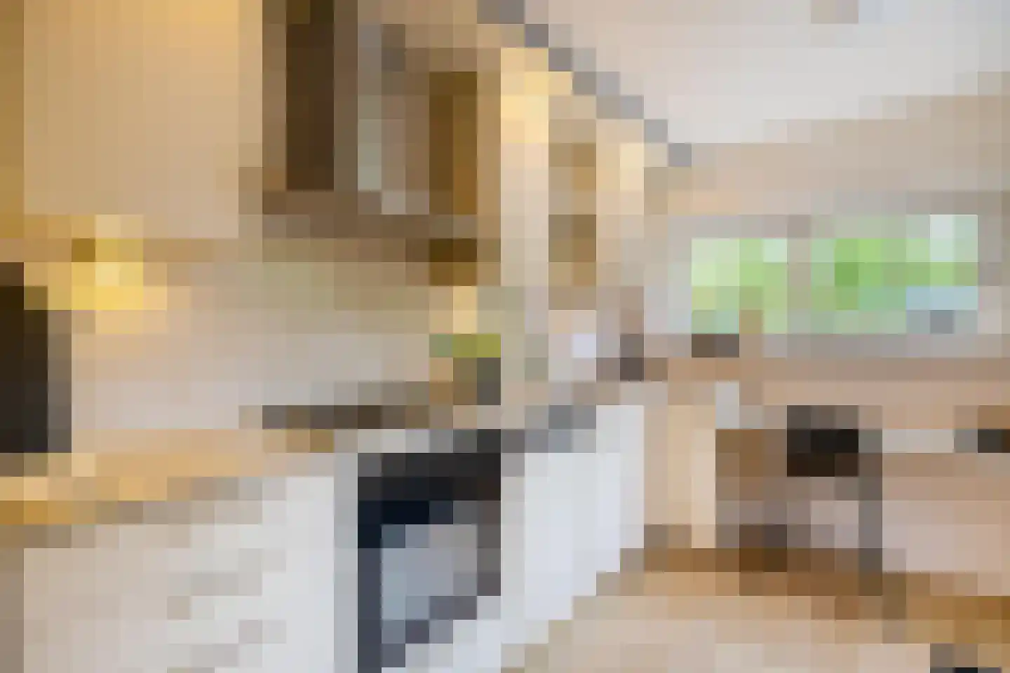 Vlierstraat 19 Groningen thumbnail 20