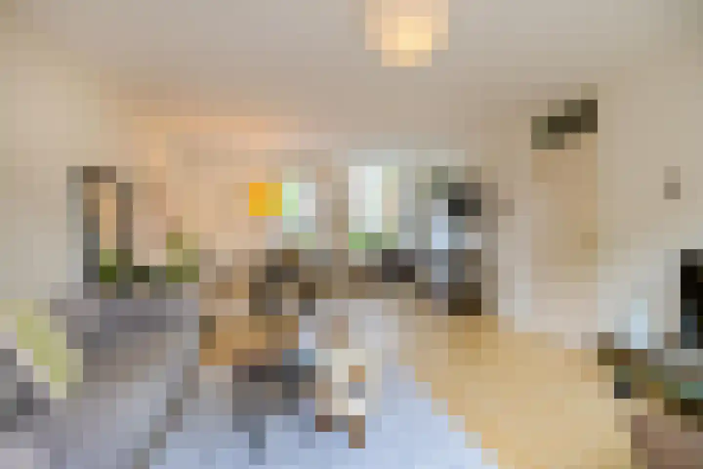 Vlierstraat 19 Groningen thumbnail 28