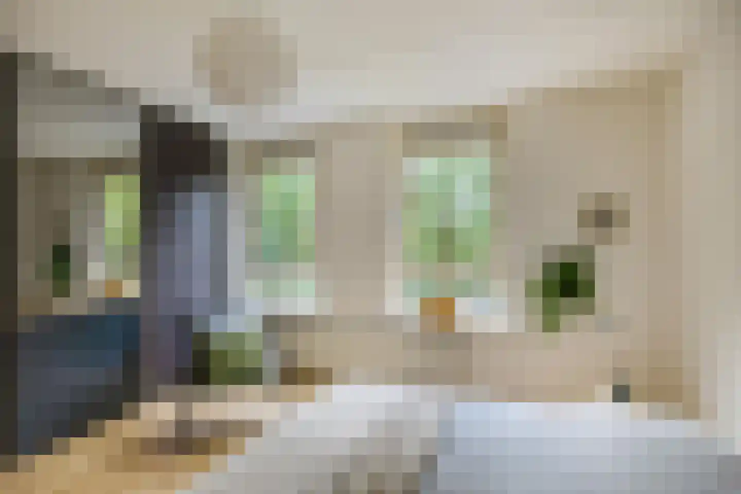 Vlierstraat 19 Groningen thumbnail 32