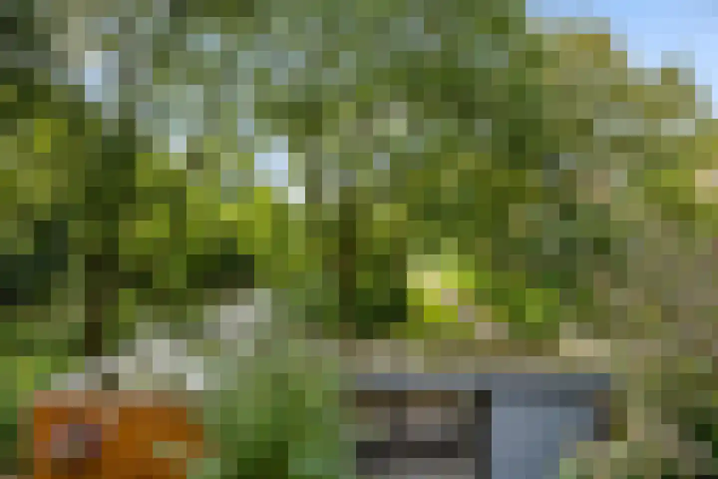 Vlierstraat 19 Groningen thumbnail 43