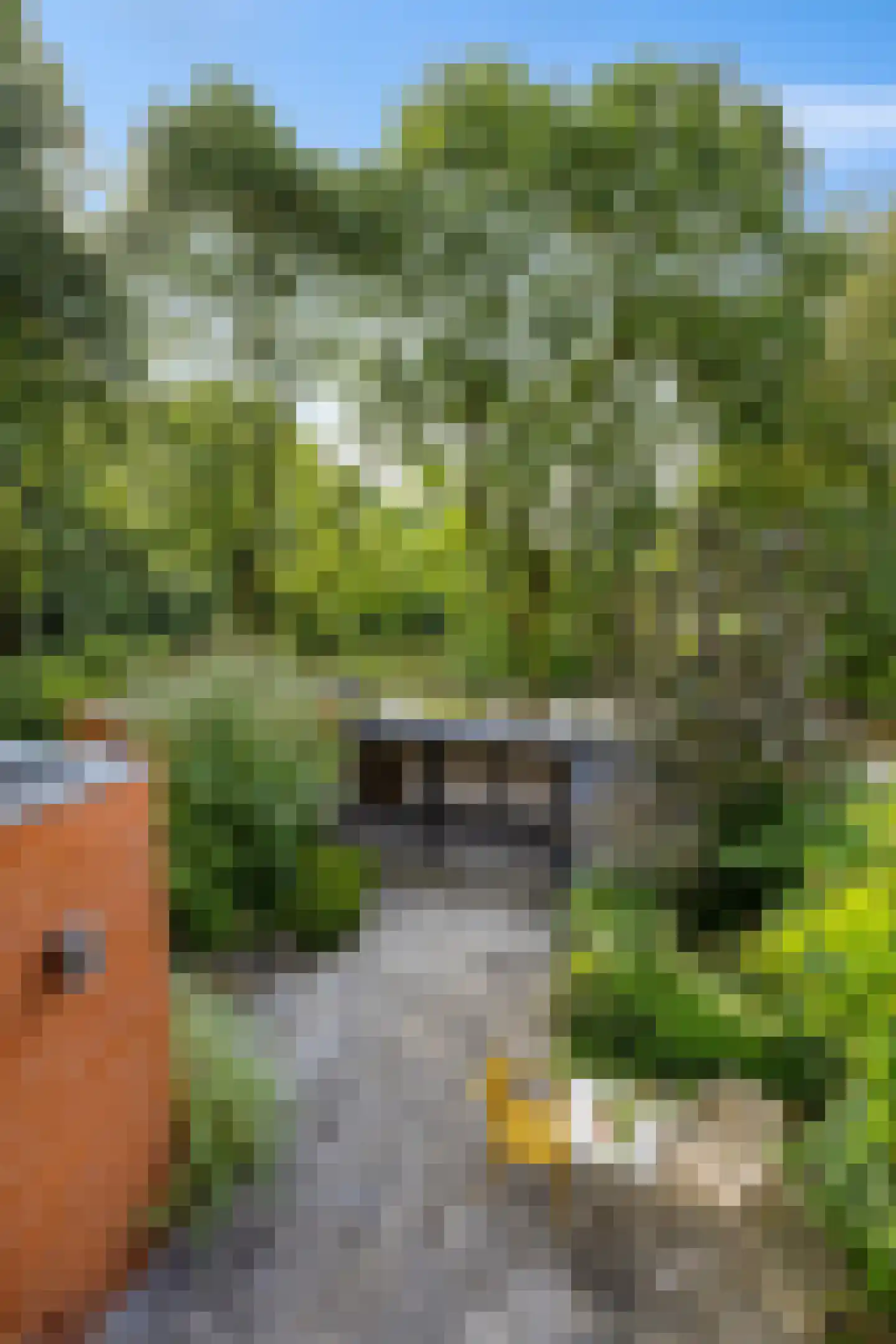 Vlierstraat 19 Groningen thumbnail 44