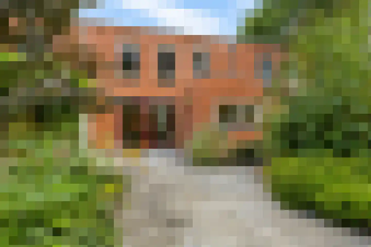 Vlierstraat 19 Groningen thumbnail 47