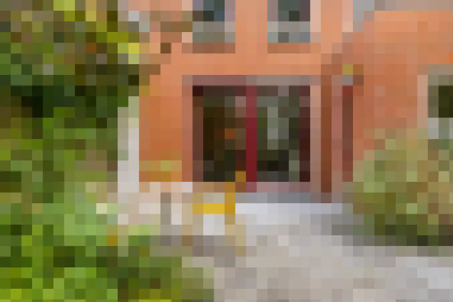 Vlierstraat 19 Groningen thumbnail 48