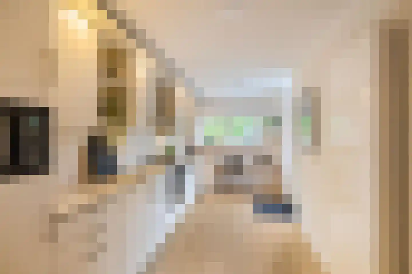 Vlierstraat 19 Groningen thumbnail 5