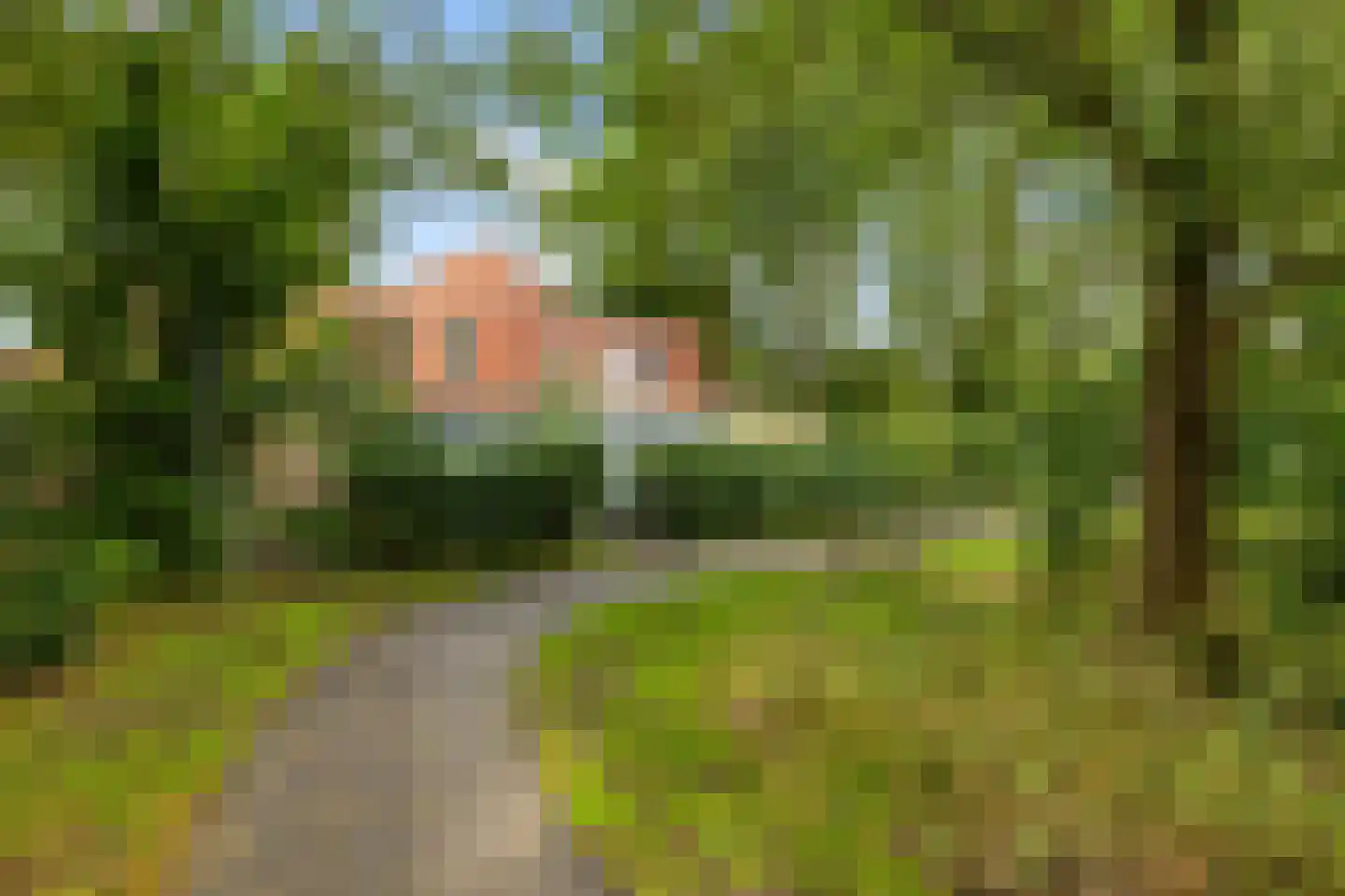 Vlierstraat 19 Groningen thumbnail 56