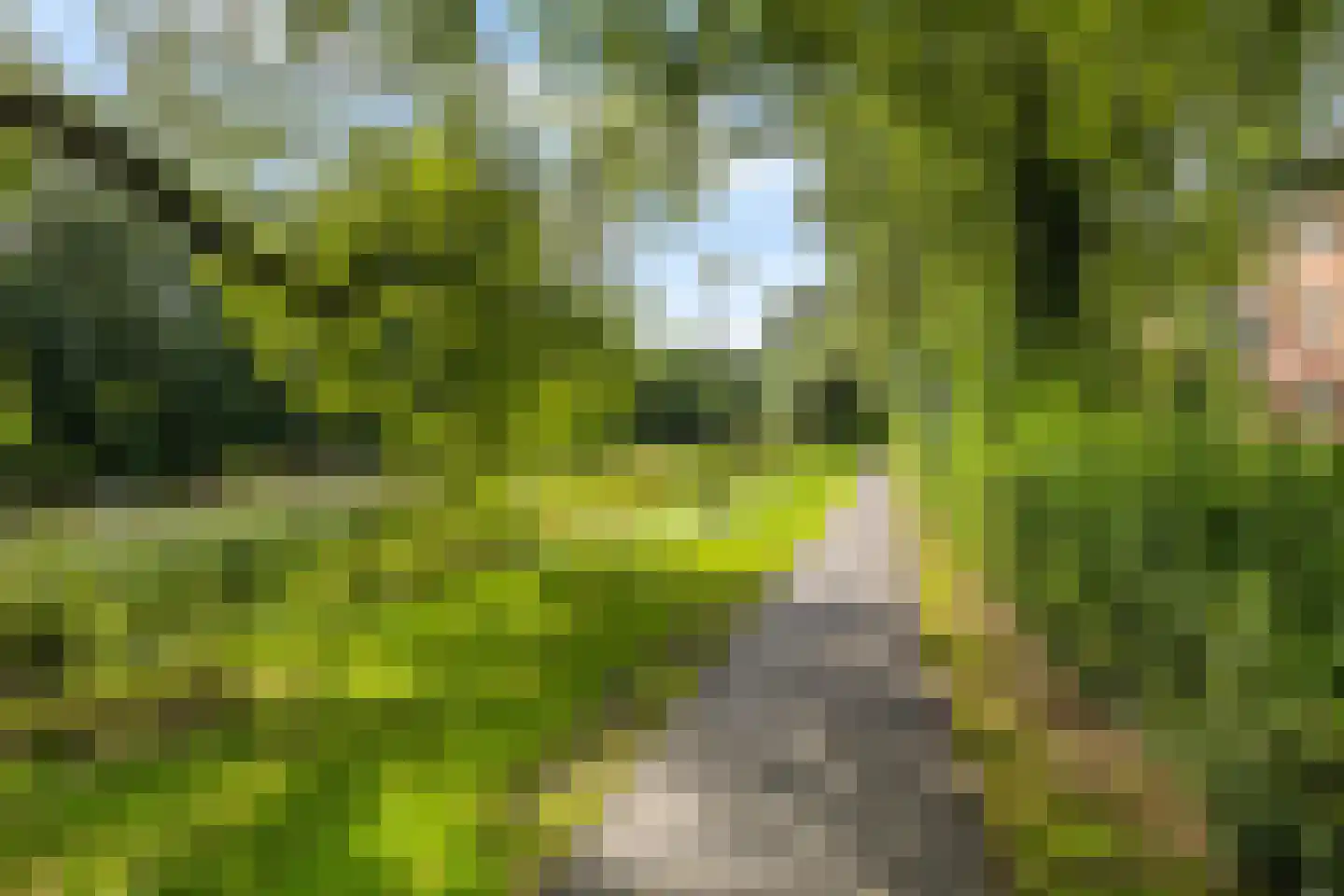 Vlierstraat 19 Groningen thumbnail 57