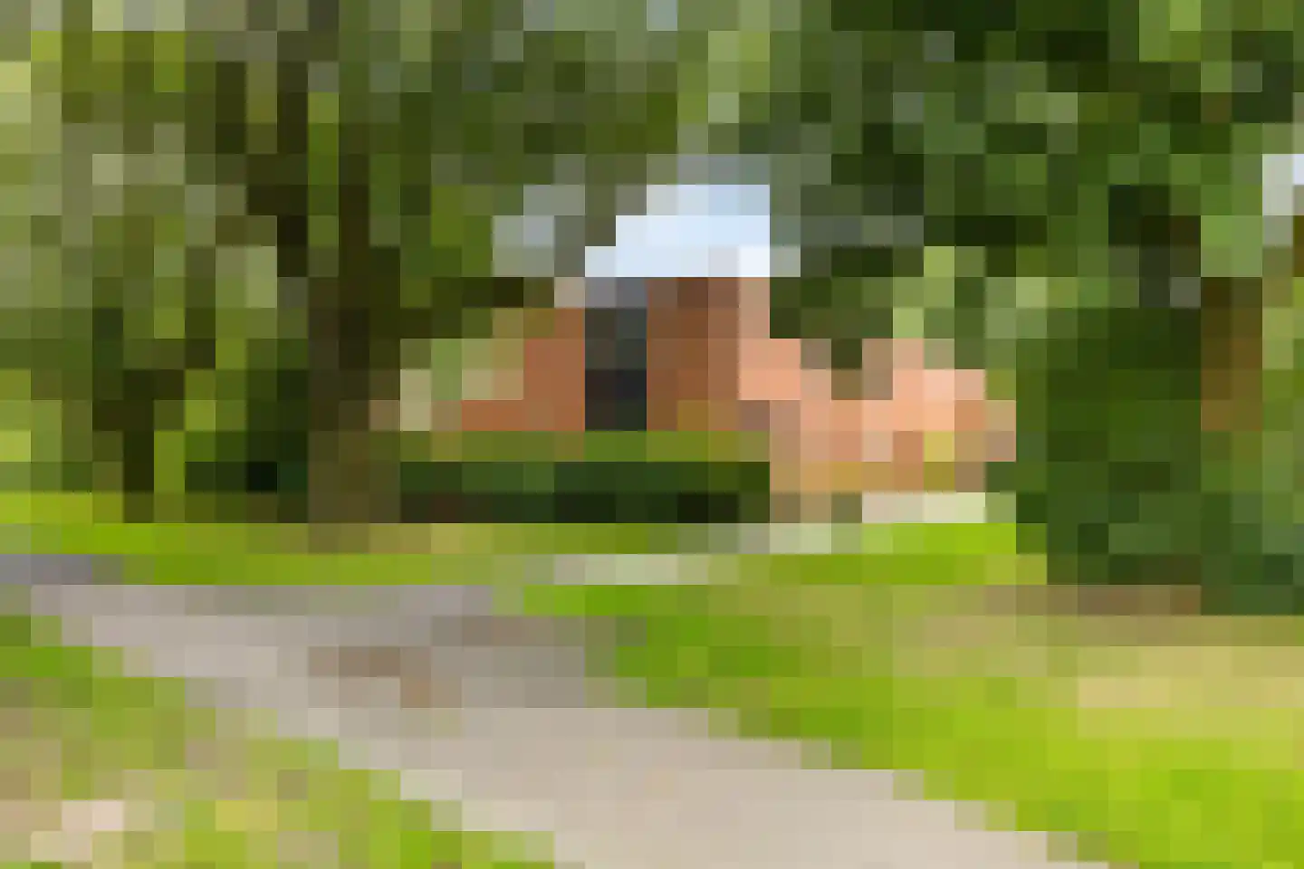 Vlierstraat 19 Groningen thumbnail 59