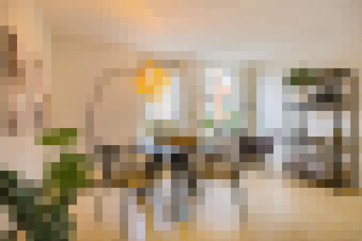 Vlierstraat 19 Groningen thumbnail 6