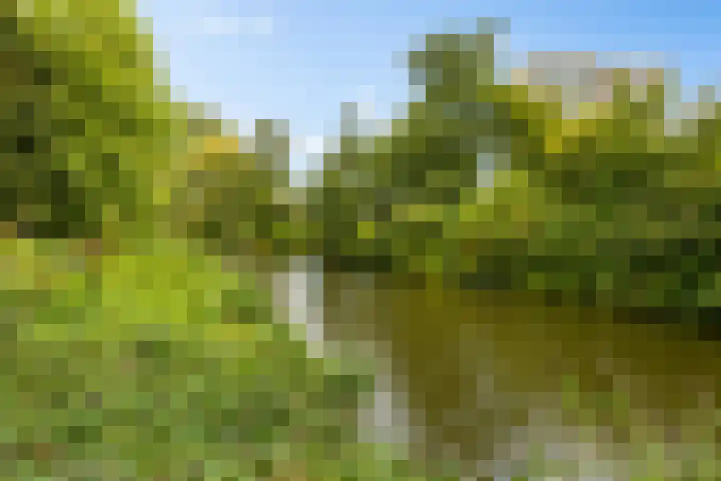 Vlierstraat 19 Groningen thumbnail 61