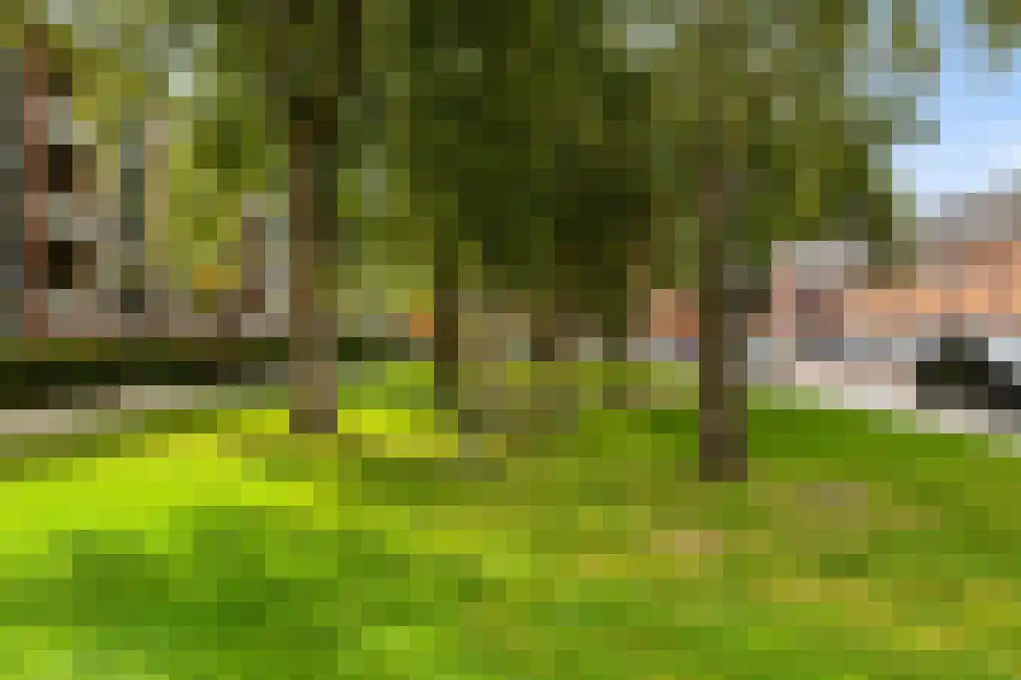 Vlierstraat 19 Groningen thumbnail 62