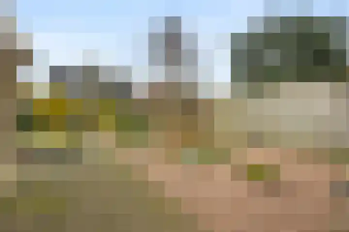 Vlierstraat 22 Huissen thumbnail 10