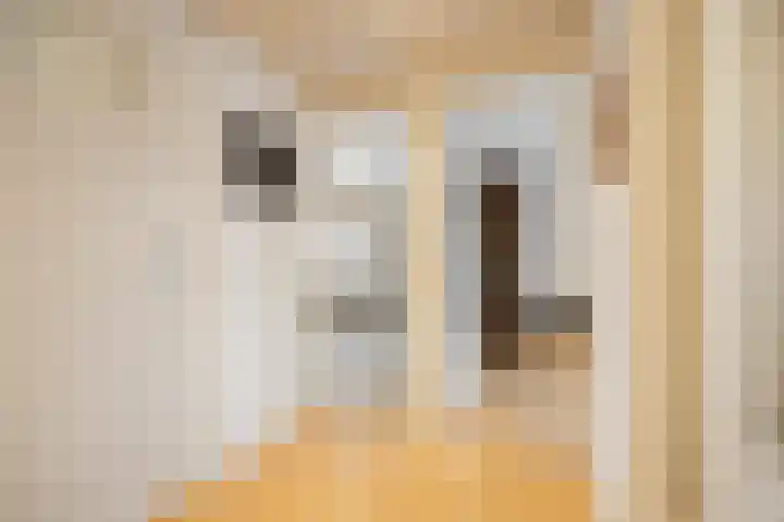 Vlierstraat 22 Huissen thumbnail 27