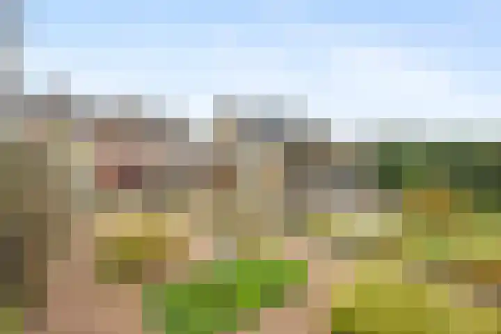 Vlierstraat 22 Huissen thumbnail 4