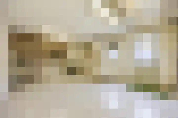 Vlierstraat 22 Huissen thumbnail 41