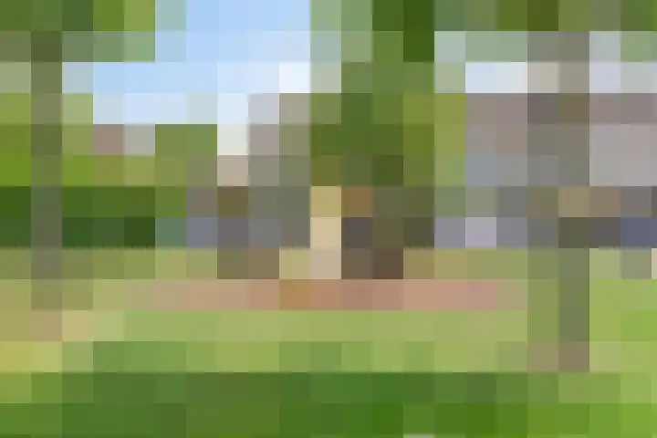 Vlierstraat 24 Steenbergen thumbnail 33