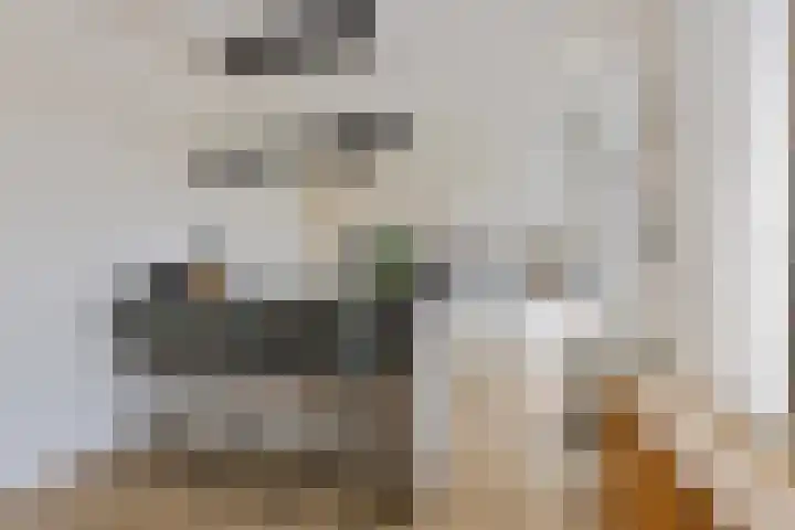Vlierstraat 24 Steenbergen thumbnail 4
