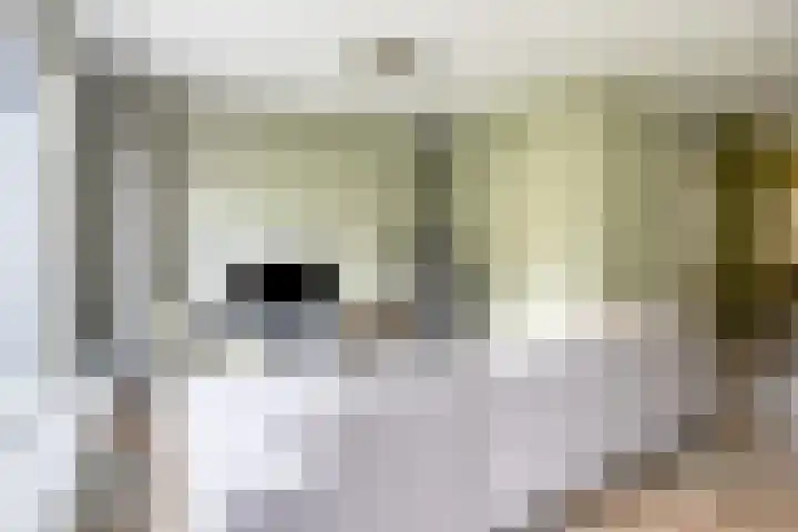 Vlierstraat 24 Vaassen thumbnail 10