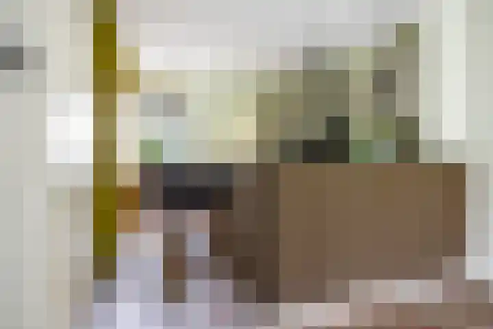 Vlierstraat 24 Vaassen thumbnail 12
