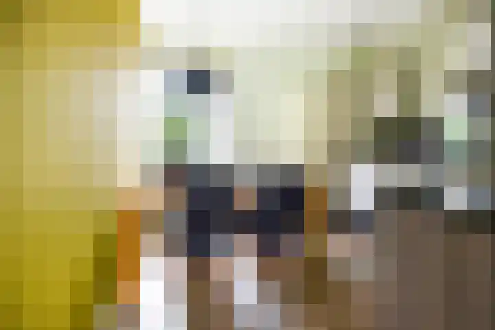 Vlierstraat 24 Vaassen thumbnail 13