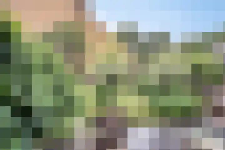 Vlierstraat 24 Vaassen thumbnail 28