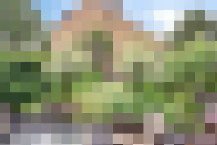 Vlierstraat 24 Vaassen thumbnail 29