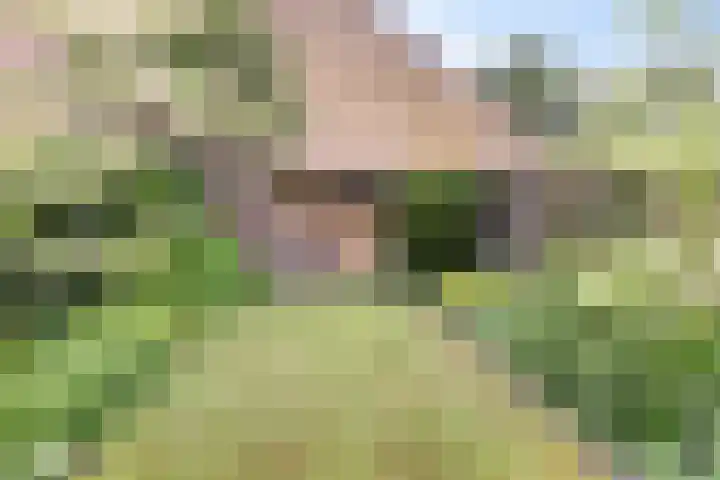 Vlierstraat 24 Vaassen thumbnail 31