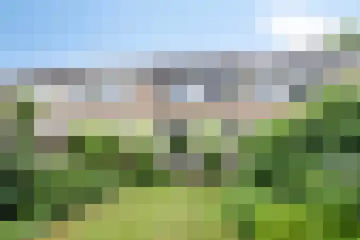 Vlierstraat 24 Vaassen thumbnail 33