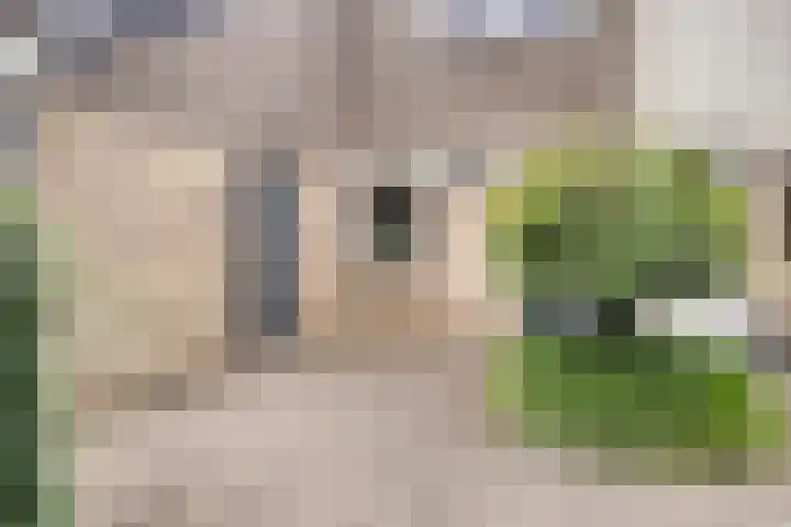 Vlierstraat 24 Vaassen thumbnail 4