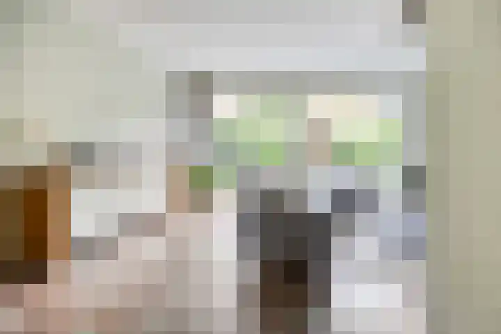 Vlierstraat 24 Vaassen thumbnail 6
