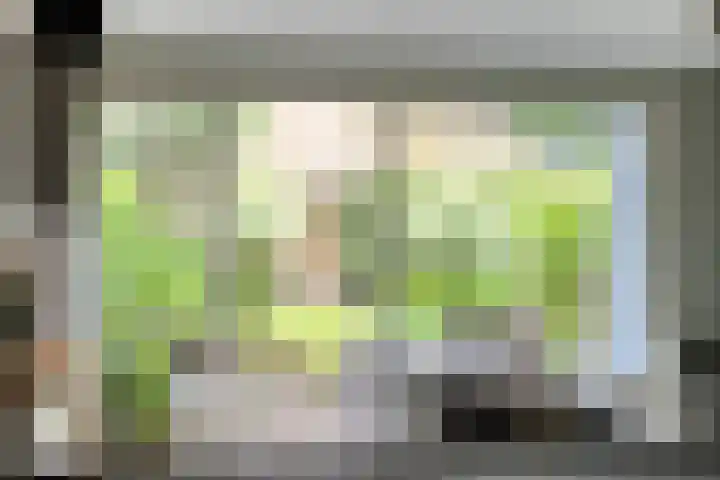 Vlierstraat 24 Vaassen thumbnail 7