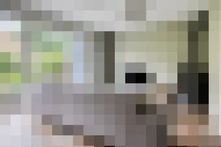 Vlierstraat 24 Vaassen thumbnail 8