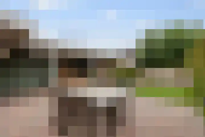 Vlierstraat 25 Huissen thumbnail 15