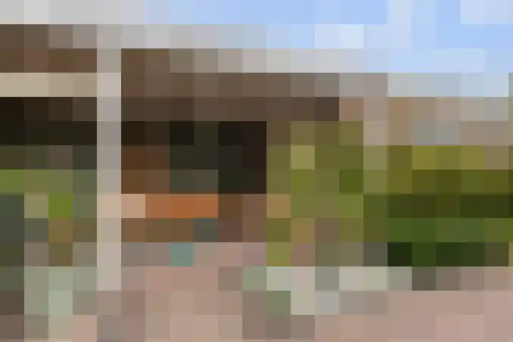 Vlierstraat 25 Huissen thumbnail 19