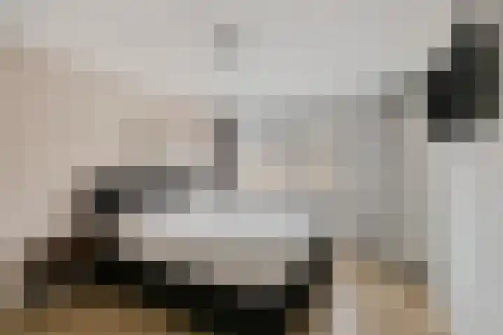Vlierstraat 25 Huissen thumbnail 21
