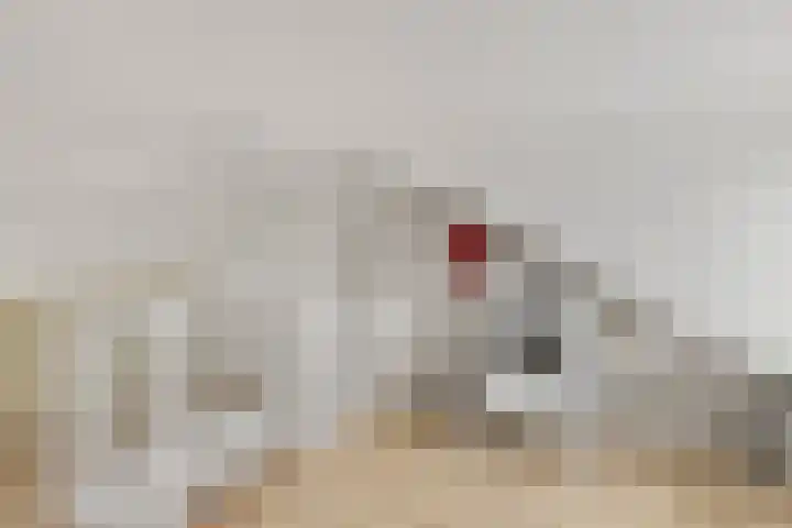 Vlierstraat 25 Huissen thumbnail 31