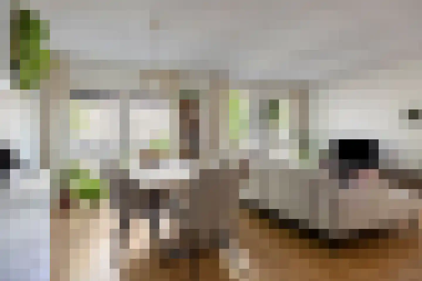 Vlierstraat 27 Venray thumbnail 14