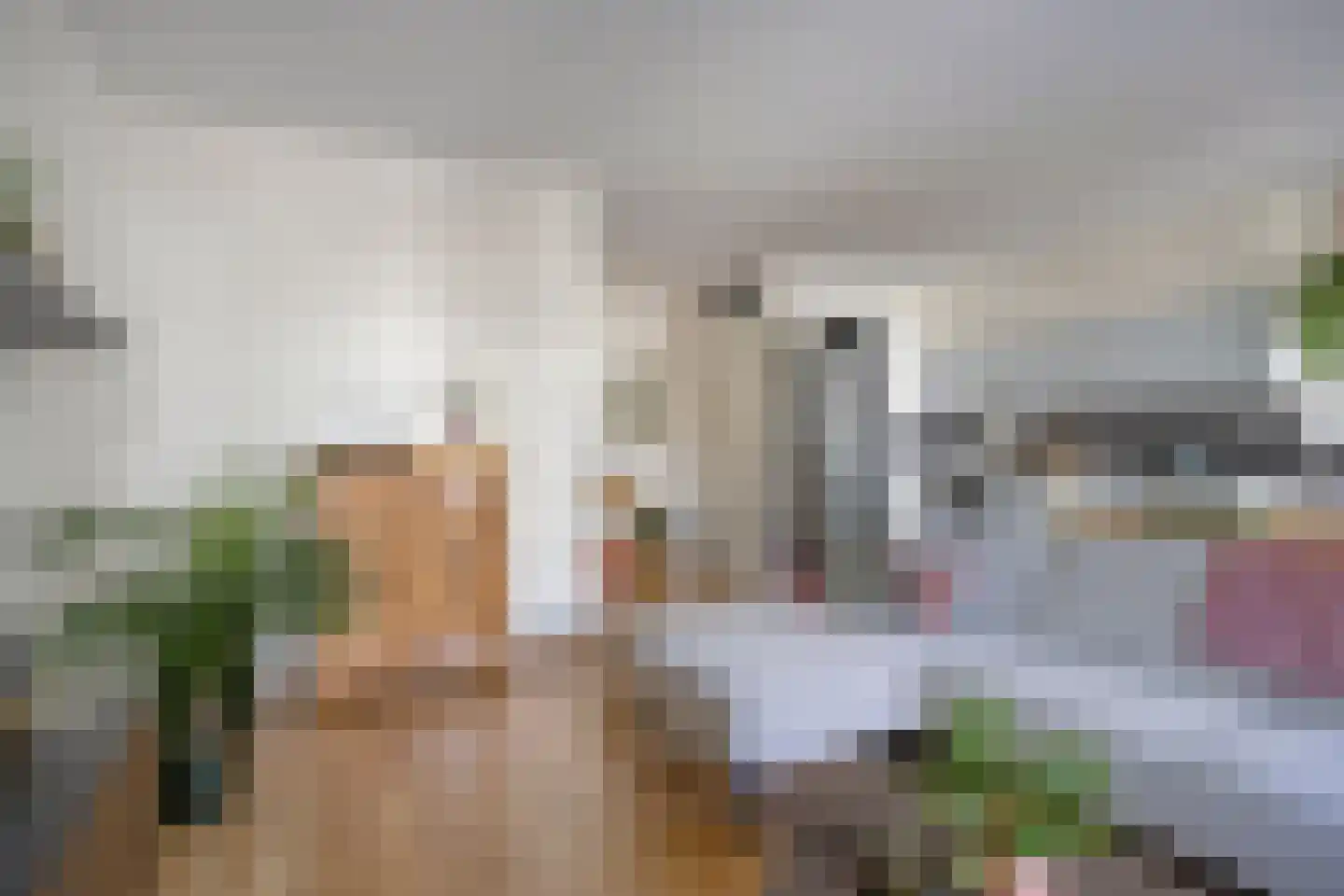 Vlierstraat 27 Venray thumbnail 17