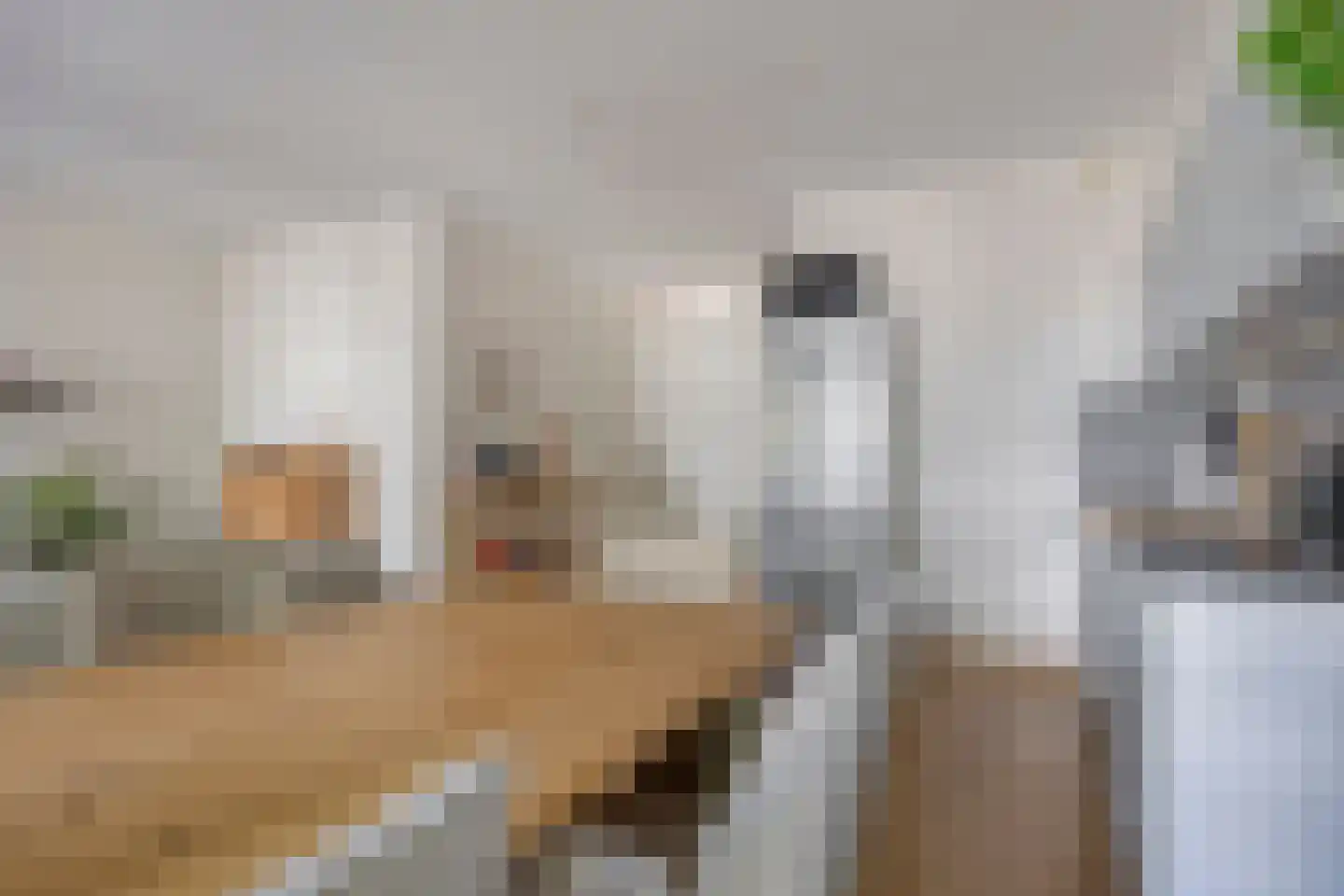 Vlierstraat 27 Venray thumbnail 18