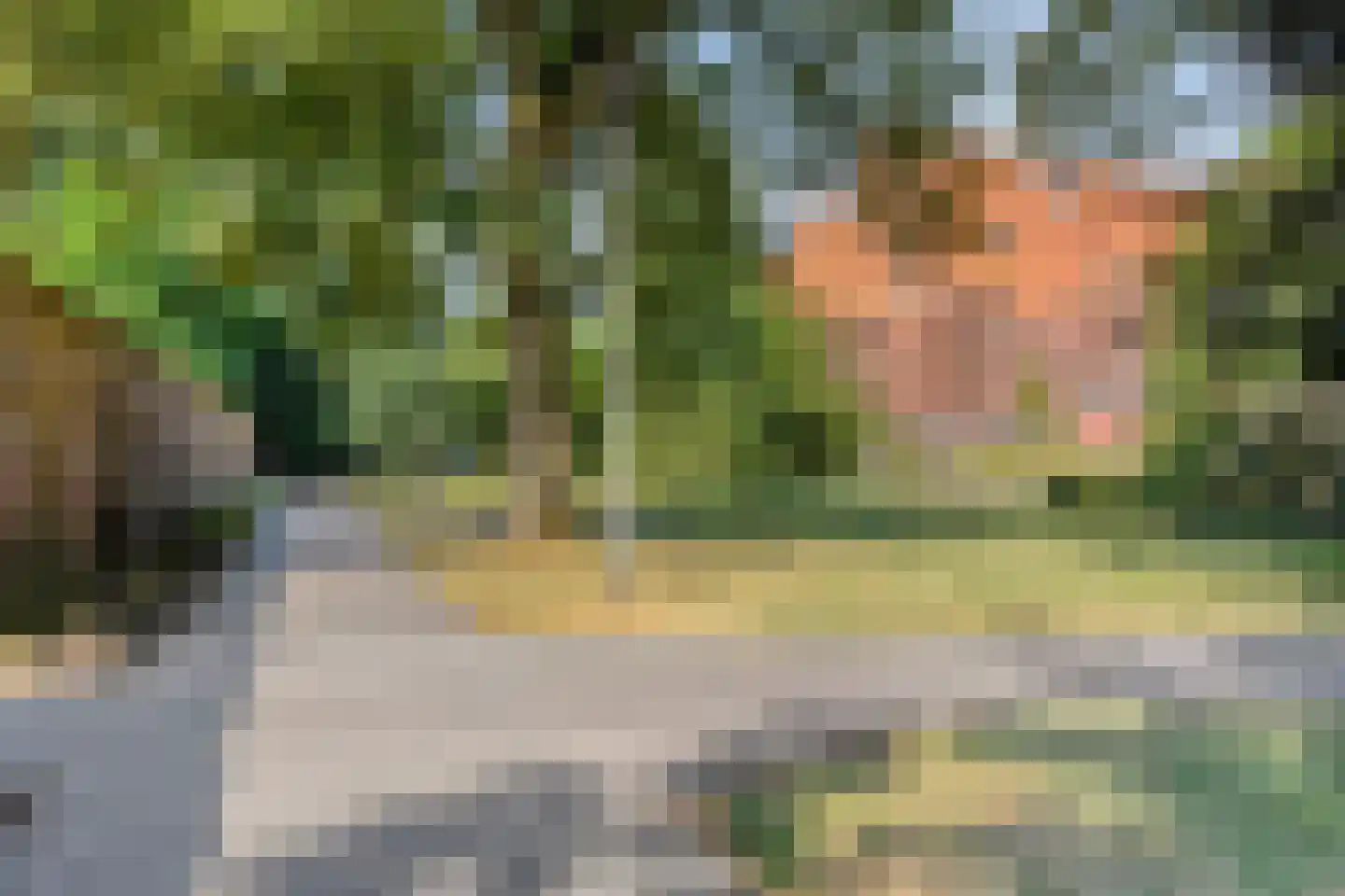 Vlierstraat 27 Venray thumbnail 29