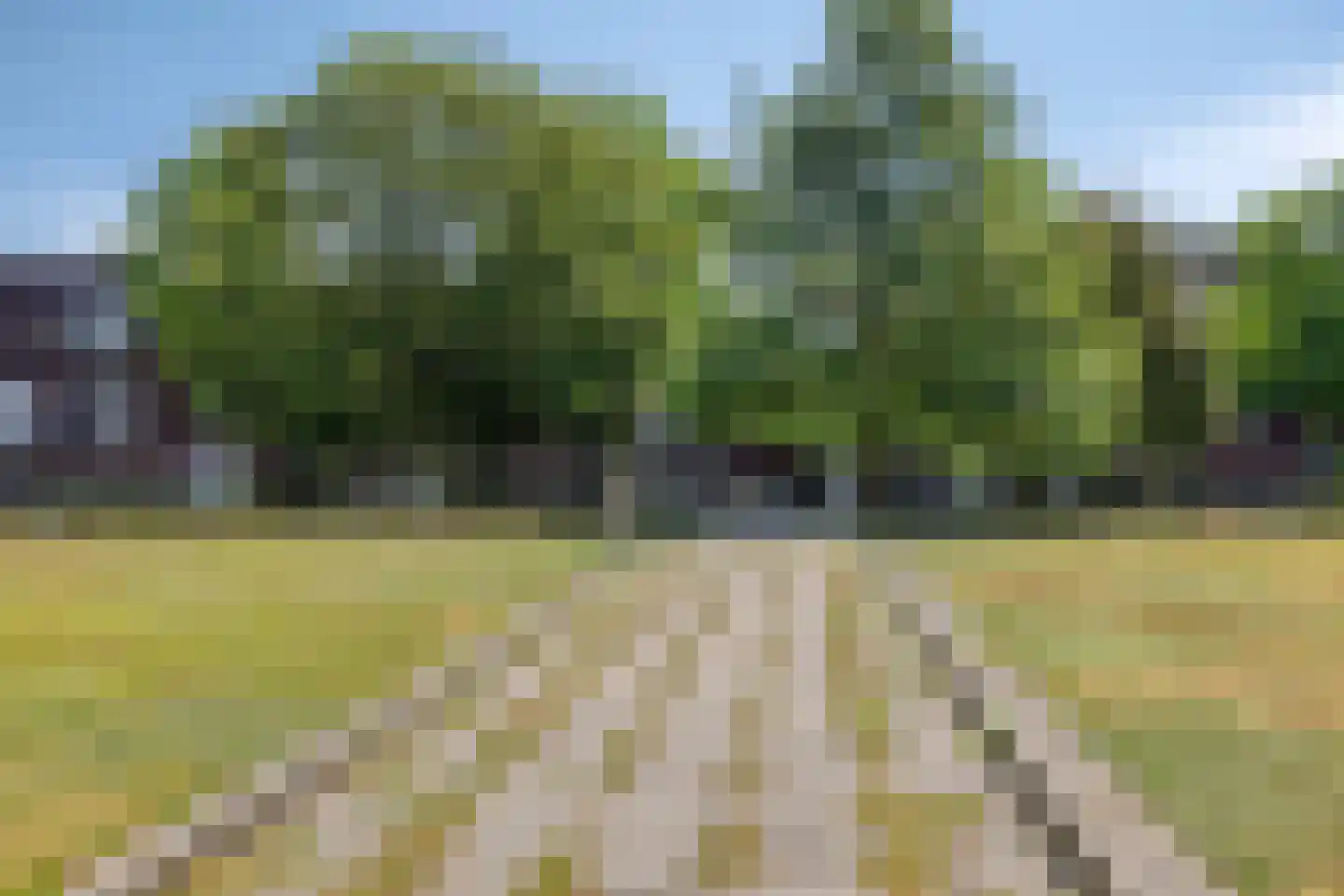 Vlierstraat 27 Venray thumbnail 31