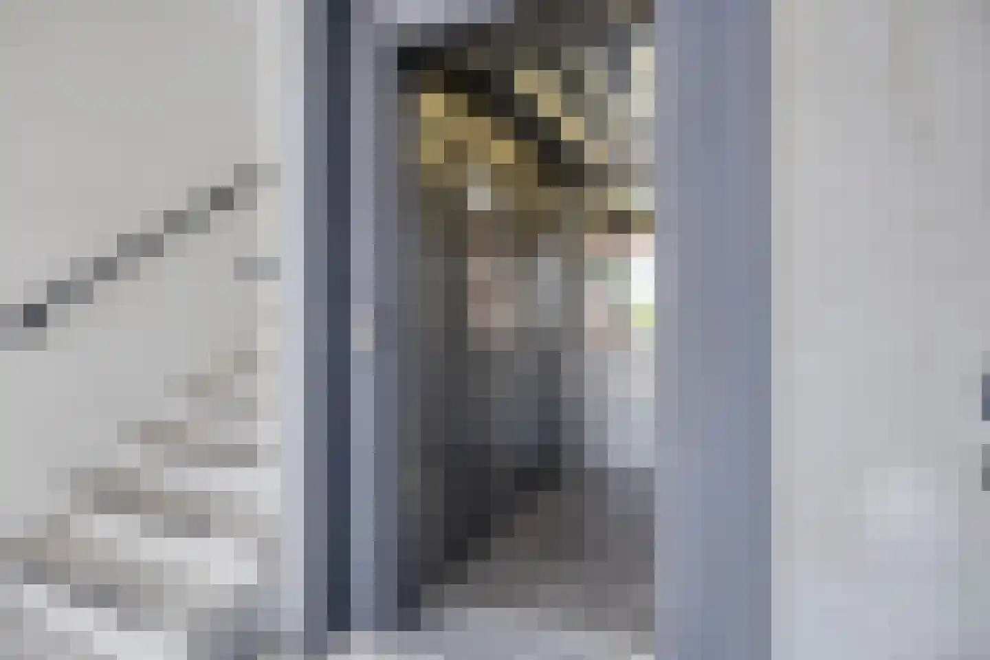 Vlierstraat 27 Venray thumbnail 8