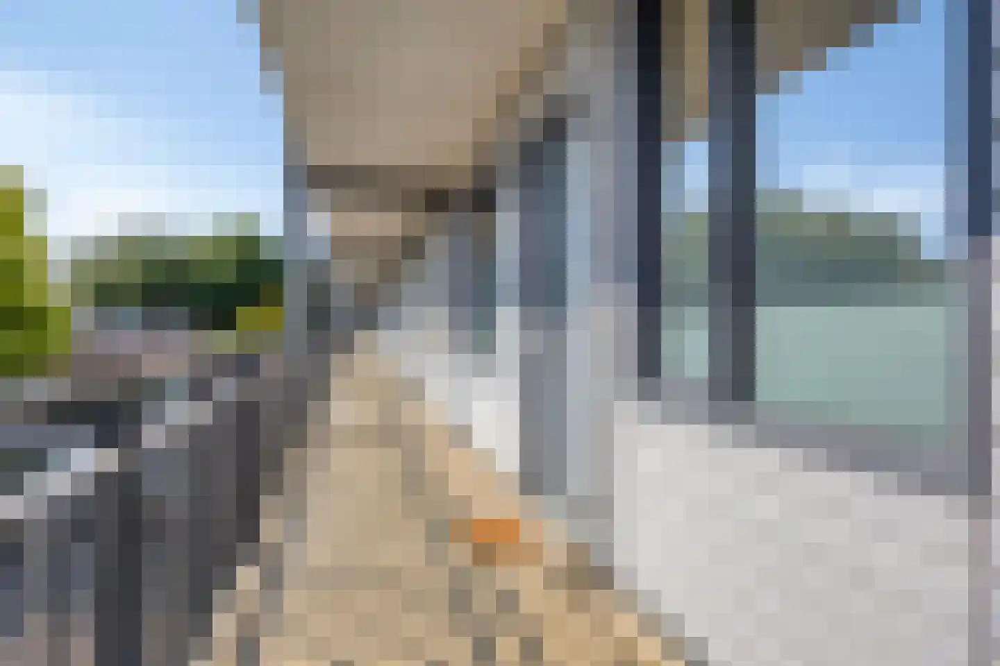 Vlierstraat 27 Venray thumbnail 9