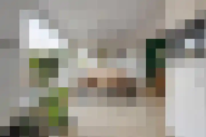 Vlierstraat 3 Asten thumbnail 14